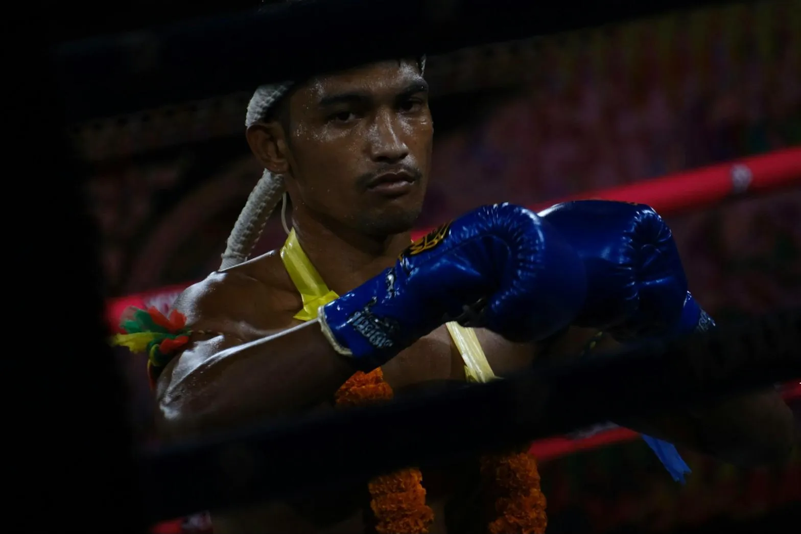 Thajský boxer v rohu ringu s čelenkou a modrými rukavicemi